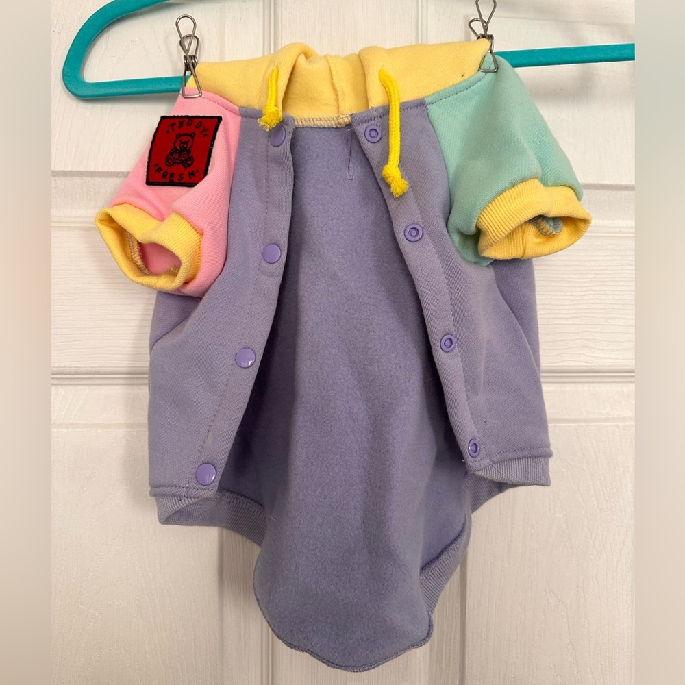 Teddy Fresh Colorblock Dog Hoodie, XL